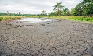 Lire la suite à propos de l’article Sécheresse en Wallonie – où en sont nos ressources en eau ?