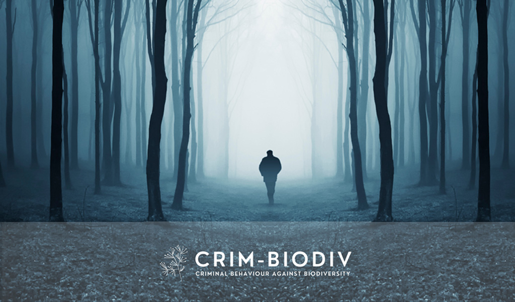 You are currently viewing CRIM-BIODIV : Atteintes à la biodiversité. (In)Actions & Réactions : revivez le colloque