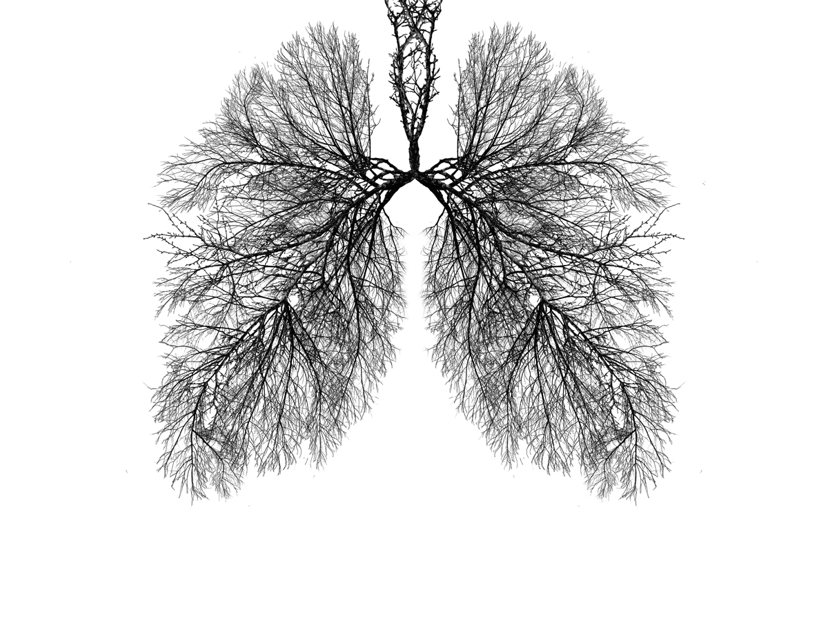 arbre-poumon