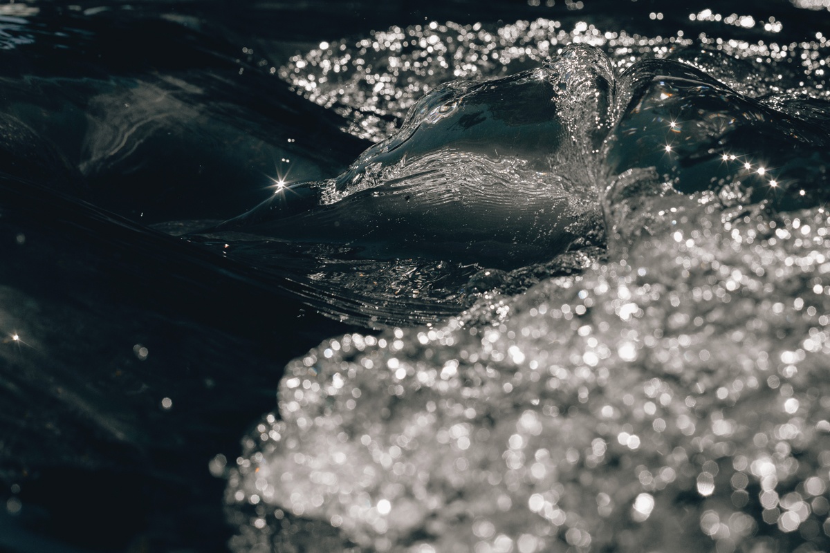 You are currently viewing Questions (im)pertinentes sur les pesticides dans l’eau wallonne