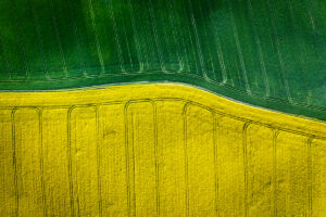 Lire la suite à propos de l’article Agrocarburants : la Belgique et l’UE en font-elles assez ?