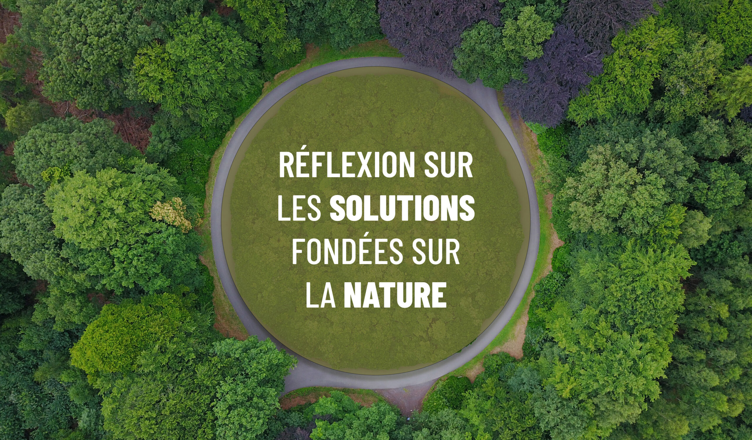 You are currently viewing Participez à la réflexion sur les solutions fondées sur la nature sur le territoire namurois !