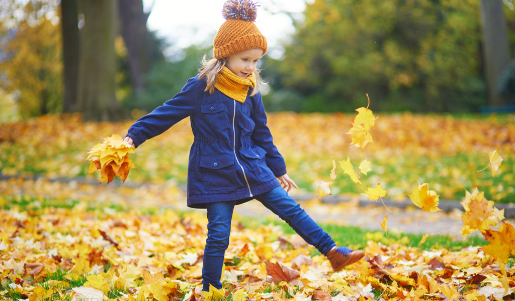 You are currently viewing Les espaces verts, essentiels mais menacés !