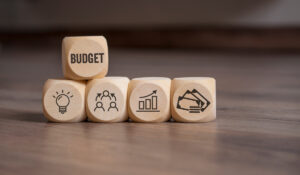 Lire la suite à propos de l’article Et vous, votre budget, vous le préférez comment ?