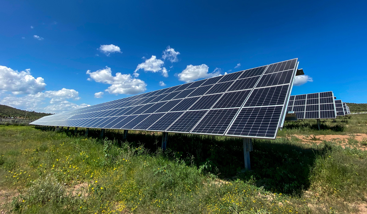You are currently viewing L’agrivoltaïsme menace les terres agricoles