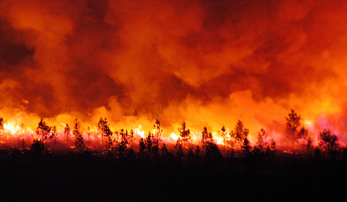 You are currently viewing Le climat tue et les Belges regardent leur portefeuille