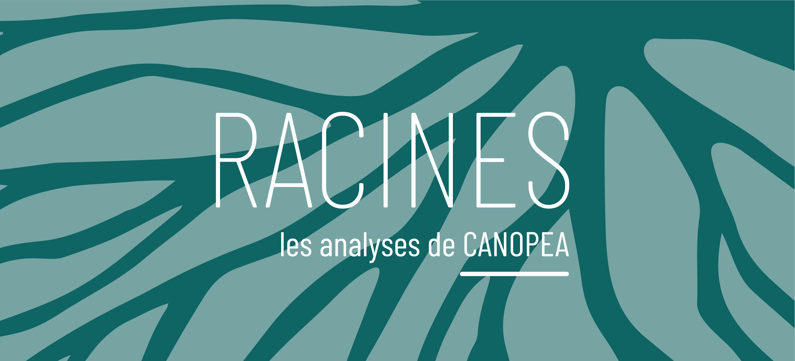You are currently viewing Liste des articles Racines parus en 2025