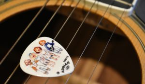 Lire la suite à propos de l’article Schéma de Développement Communal : Tournée des aides disponibles (avec ABBA)