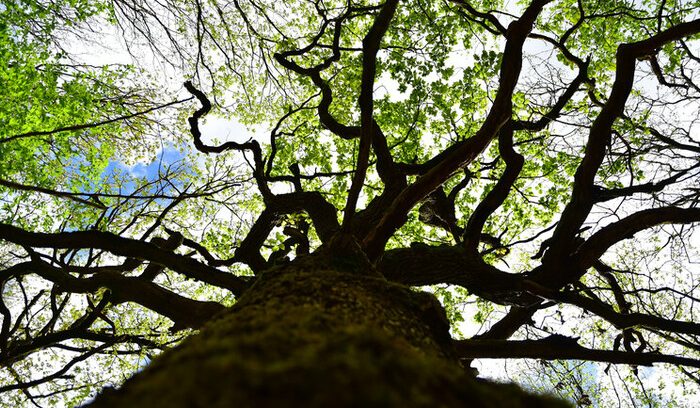 You are currently viewing Investir dans la biodiversité, c’est investir pour l’ensemble de la société