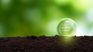 Lire la suite à propos de l’article Le prix universel du carbone, solution miracle ? 