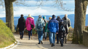 Image décorative - Ne contient aucune information