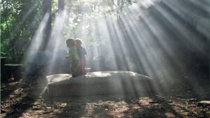 Image décorative - Ne contient aucune information