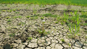 La future incertitude hydrique prima klima 4