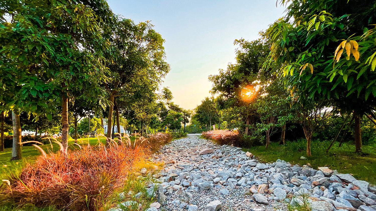You are currently viewing Les jardins de pluie : un aménagement innovant