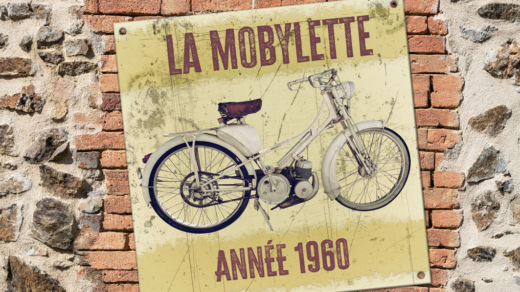 You are currently viewing Les speedpedelecs seraient des mobylettes ??