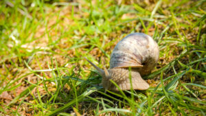 Image décorative - Ne contient aucune information