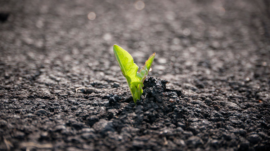 You are currently viewing Usine à tarmac : Assesse retourne sa veste !