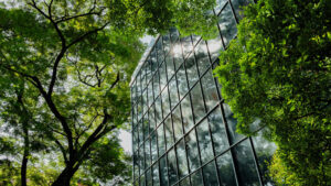 Lire la suite à propos de l’article S’adapter face aux vagues de chaleur et canicules