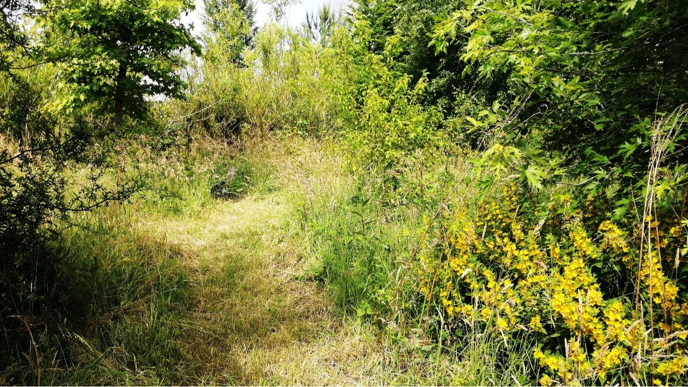 You are currently viewing En visite au Jardin Punk !