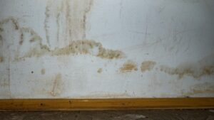 Inondations : la vulnérabilité des populations et du territoire