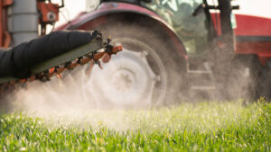 Image décorative - Ne contient aucune information