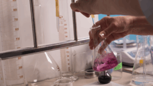 Image décorative - Ne contient aucune information