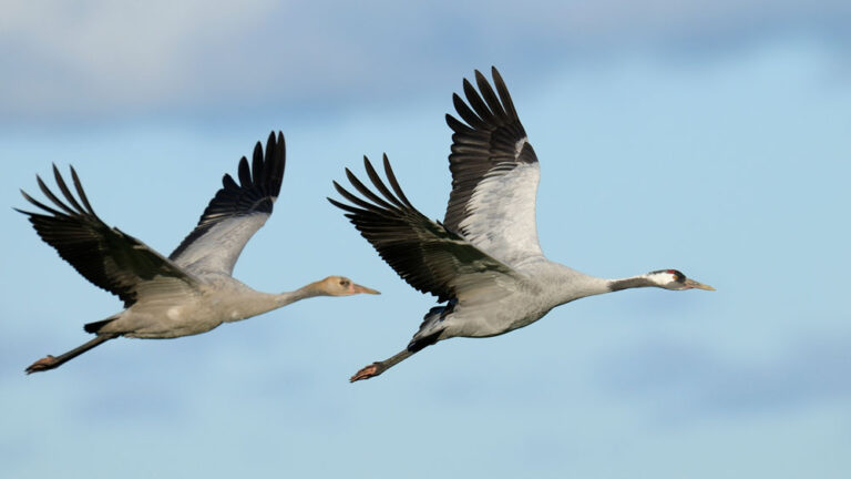 Image décorative - Ne contient aucune information